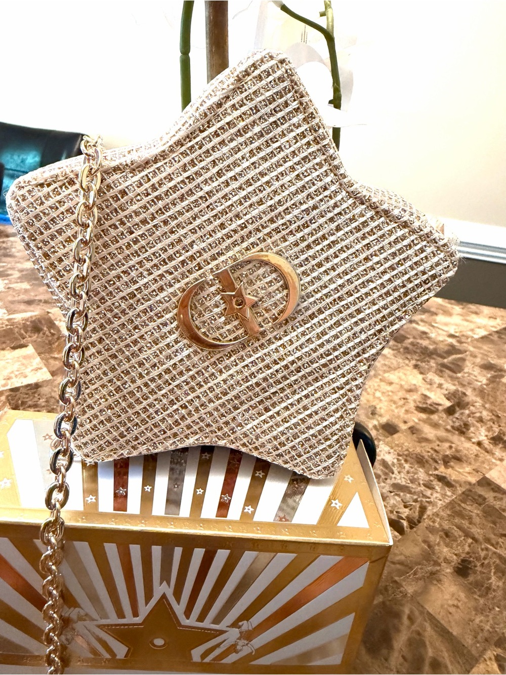 DIOR STAR POUCH - Picture 2 of 5